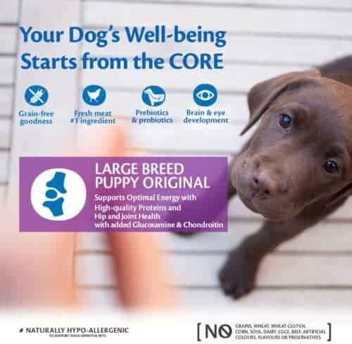 Wellness Core Puppy Original Large 2.75kg Dry Food Grain-Free for Large Breed Puppies with Turkey and Chicken