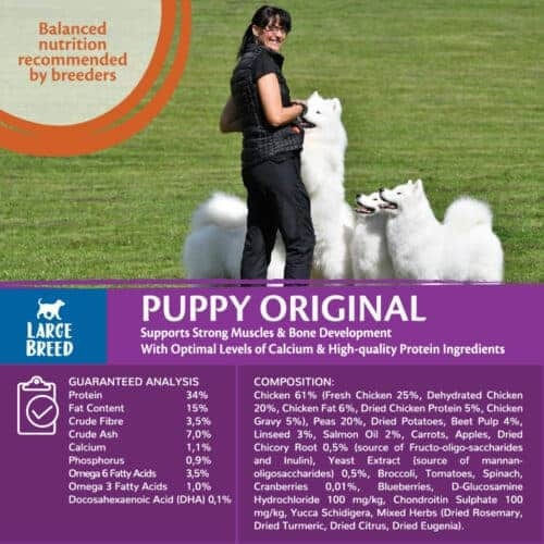 Wellness Core Puppy Original Large 2.75kg Dry Food Grain-Free for Large Breed Puppies with Turkey and Chicken