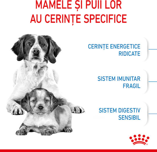 Royal Canin Starter Mother & Babydog Medium 4kg Dry Food for Medium Breed Puppies with Chicken and Rice