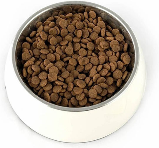 Dog Food 12kg Ξηρά Τροφή για Κουτάβια Μεσαίων & Μεγαλόσωμων Φυλών με Βοδινό