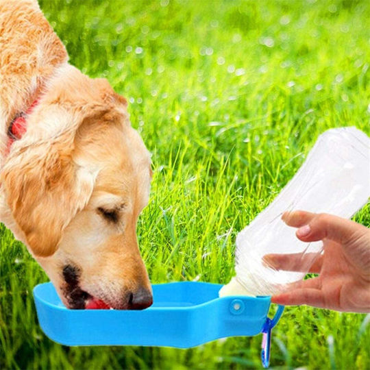 Kunststoff Flasche Futter & Wasser für Hund & Katze in Grün Farbe