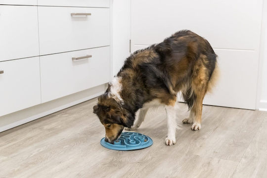 Trixie Set de măsuțe pentru Câine 35cm în Culoare Albastru