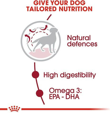 Royal Canin Medium Adult 3kg Trockenfutter für erwachsene Hunde mittlerer Rassen mit Geflügel, Fleisch und Schweinefleisch