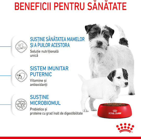 Royal Canin Starter Mother & Babydog Mini 4kg Dry Food Gluten-Free for Small Breed Puppies with Poultry and Rice