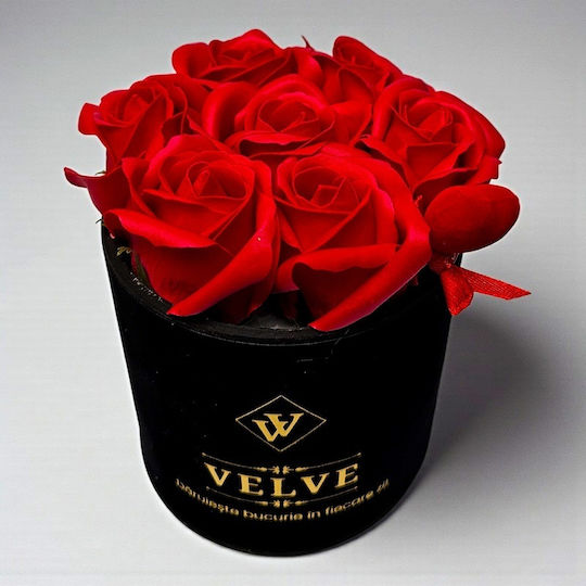 Pachet Special De Valentine Tommy Bear Aranjament 20 Cm 7 Trandafiri Săpun În Cutie Elegantă Pachet Special De Valentine Tommy Bear Aranjament 20 Cm 7 Trandafiri Săpun În Cutie Elegantă