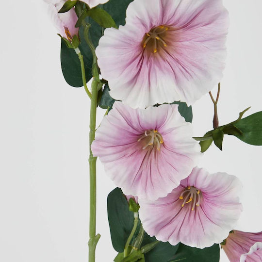 Florista Ipomoia 76cm Offenes Rosa Offenes Rosa Tiefe 12cm X Breite 8cm X Höhe 76cm Florista Ipomoia 76cm Offenes Rosa Offenes Rosa Tiefe 12cm X Breite 8cm X Höhe 76cm