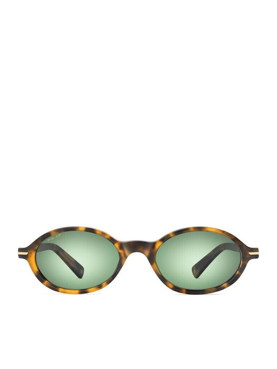 Polar Ochelari De Soare Maro Cu Ramă Din Plastic / Acetat Polar Ochelari De Soare Maro Cu Ramă Din Plastic / Acetat