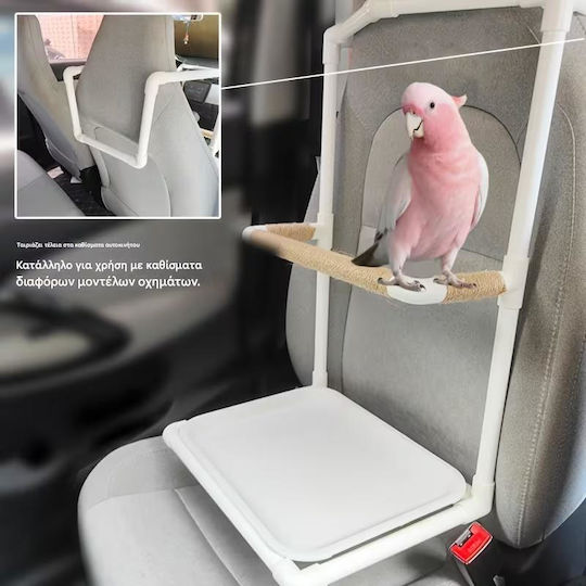 Car Seat Birds Kingdom-auto Stand Walk Parrot