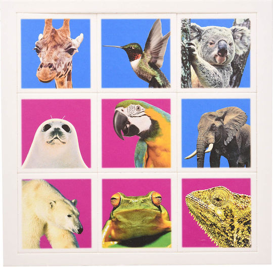Brettspiel Memo Wildlife (EN) Tactic