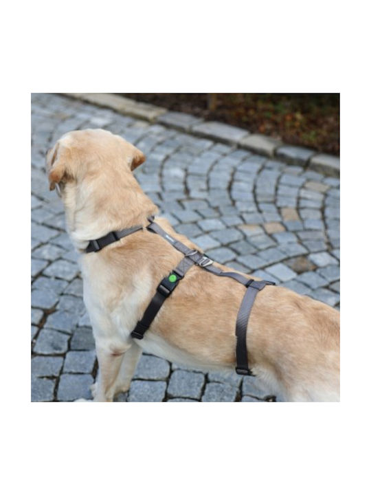 Kerbl Hundegeschirr Ausbildung Panic Harness Miami Grau 20mm x 48-70cm 080042