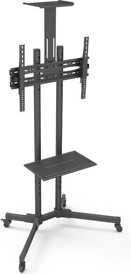 Focus Mount T014 Βάση Τηλεόρασης Δαπέδου έως 65" και 50kg