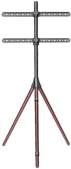 Focus Mount TT164 Wall TV Mount up to 40kg
