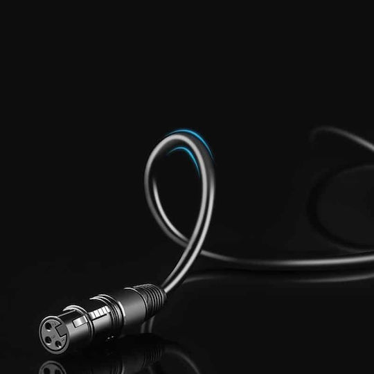 Ugreen Av131 XLR male to 6.3mm male 3m Cable (20720)
