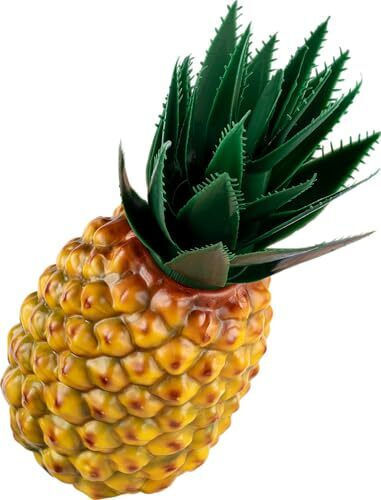 Meinl Fruit & Vegetable Shaker