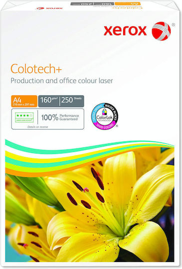 Xerox Printing Paper A4 160gr/m² 250 sheets