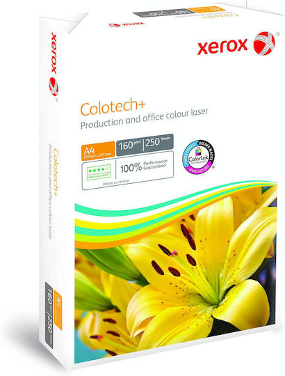 Xerox Printing Paper A4 160gr/m² 250 sheets