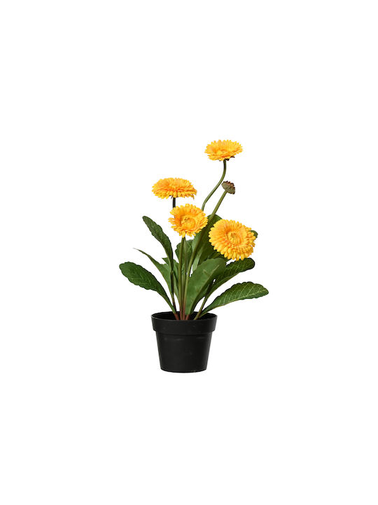 Crizantema Plantă În Ghiveci Φ20x30cm