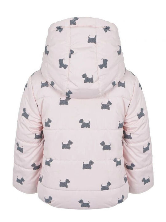 Lapin