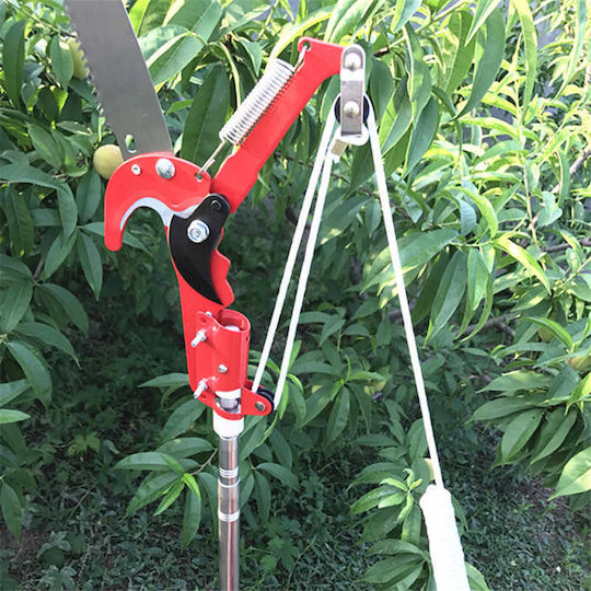 SGTT Foarfecă Cu Ferăstrău Telescopică Cu Lamă 33cm Și Deschidere Pentru Ferăstrău De Tăiat Crengi Extensibilă 20mm