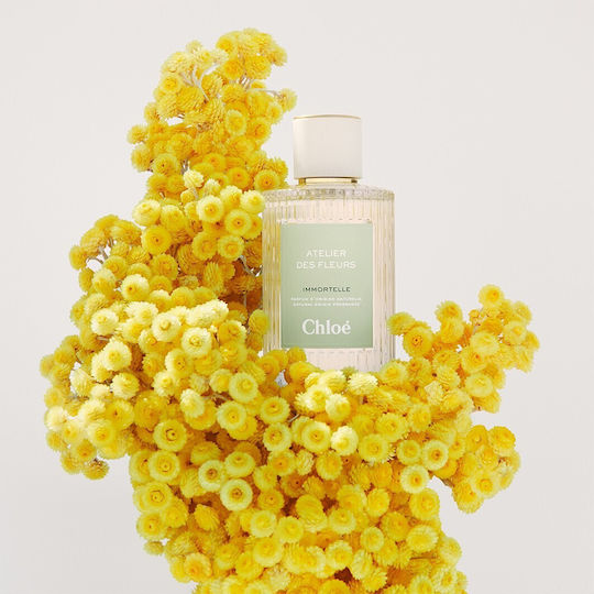 Chloe Eau de Parfum 50ml