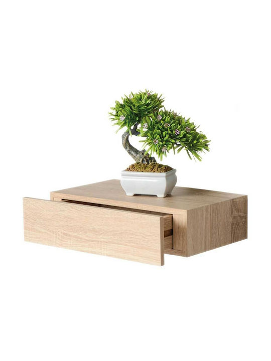 Regal Wand Oak 40x24x10cm