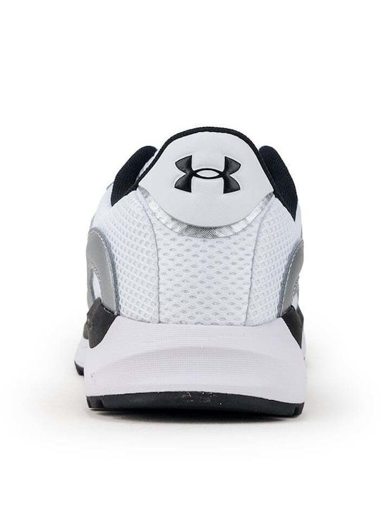 Sneakers Gray