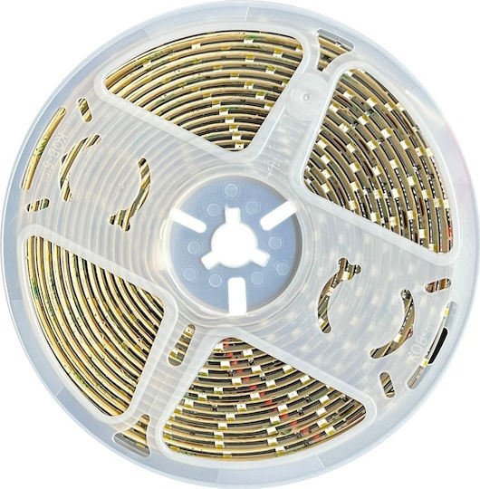 Eco Light LED-Streifen 12V Natürliches Weiß Licht 5m Typ SMD2835