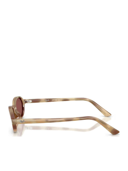 Ray Ban Γυαλιά Ηλίου Μωβ με Κοκκάλινο Σκελετό Ray Ban Γυαλιά Ηλίου Μωβ με Κοκκάλινο Σκελετό