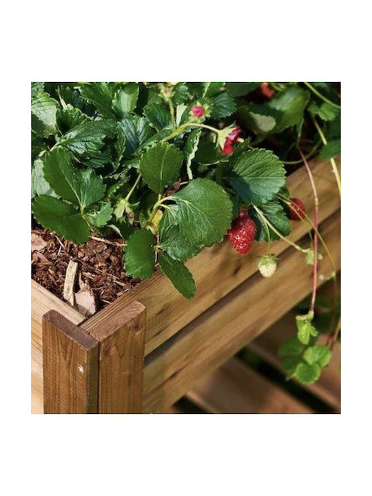 Woodware Ζαρντινιέρα Ξύλινη Καφέ Woodware Ζαρντινιέρα Ξύλινη Καφέ