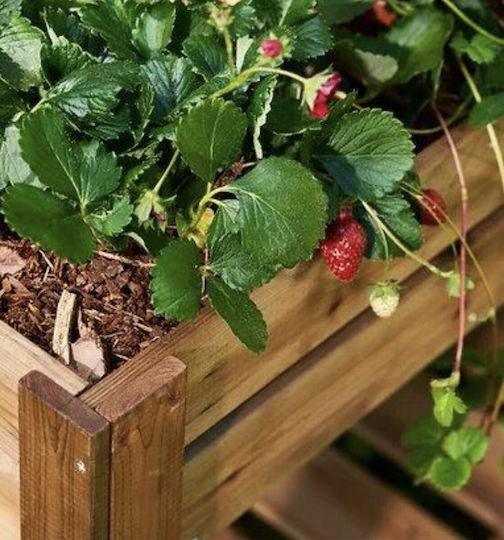 Woodware Wooden Brown Planter Box Woodware Wooden Brown Planter Box