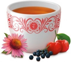 Yogi Tea Echinacea Sambucus Nigra Rosehip Basil Cinnamon Ginger Cardamom Hibiscus Liquorice Fennel Organic Product 17 Bags 578gr