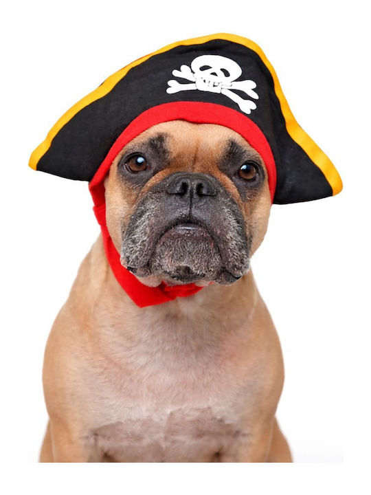 Pălărie De Carnaval De Pirat Value Imports Pirate Pentru Câine Pisică Mărime Unică