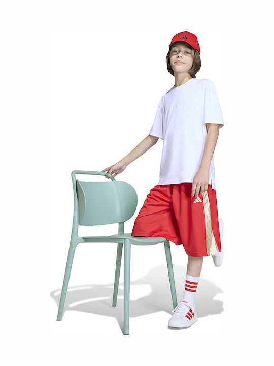 Sport Kids Shorts/Bermuda Red