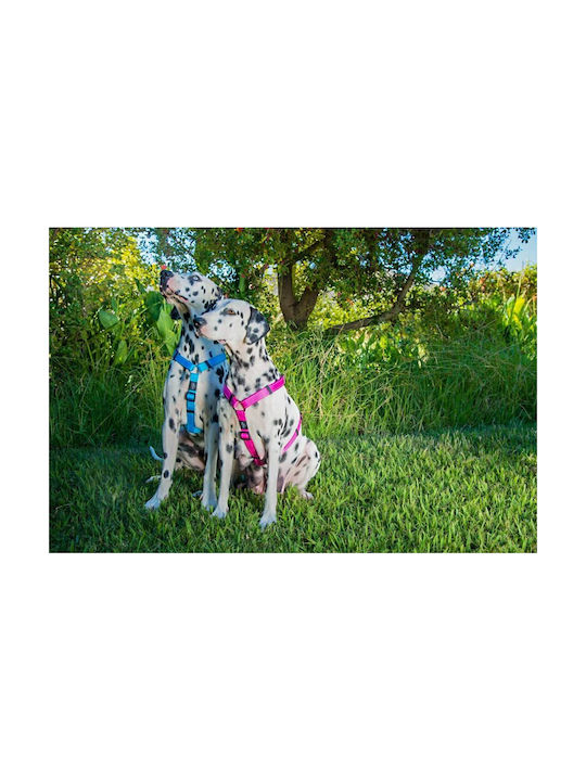 Rogz Σαμαράκι Σκύλου Fancy Μαύρο X-Large 60-100cm RGSJ05A