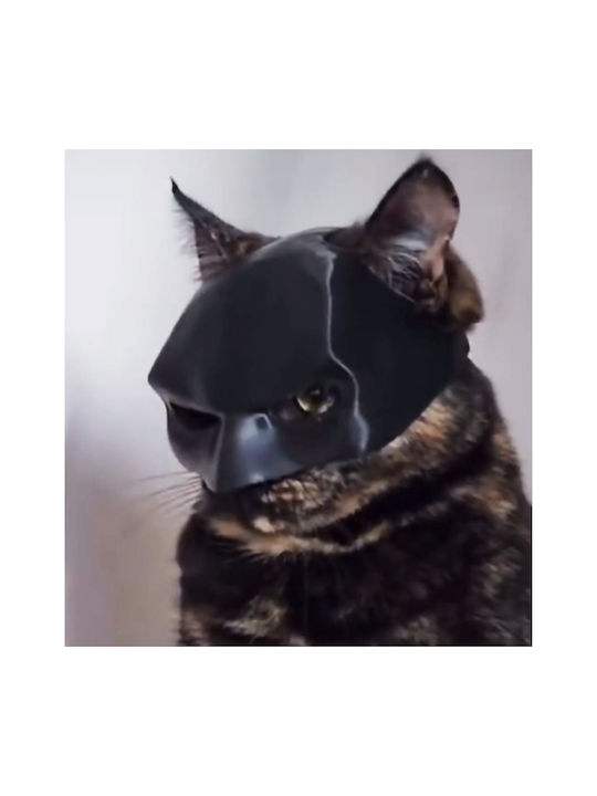Μάσκα Batman Γάτες Διάστ.12.6x9.2x6.1cm