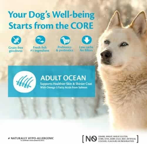 Wellness Core Adult Ocean 1.8kg Dry Food Grain-Free for Adult Medium & Large Breed Dogs with Salmon and Tuna
