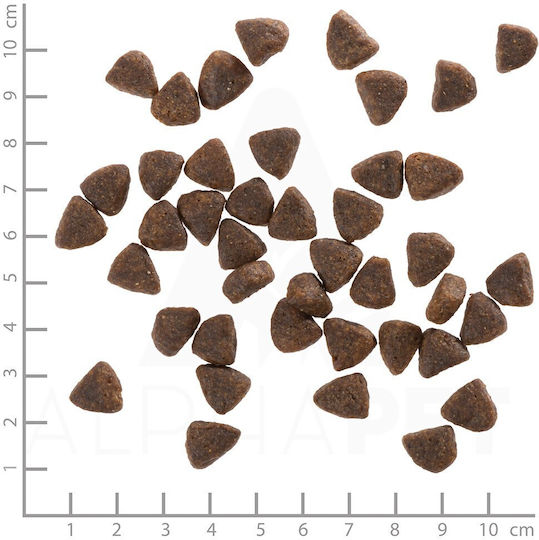 Wolfsblut Wide Plain 2kg Dry Food for Small Breed Dogs with Potatoes