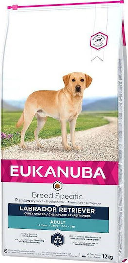 Eukanuba Adult Labrador Retriever 12kg Dry Food Gluten-Free for Adult Large Breed Dogs with Chicken