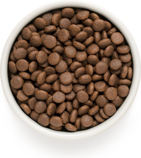 Grandorf Holistic & Hypoallergenic 10kg Dry Food Gluten-Free for Medium & Large Breed Puppies with Lamb and Turkey
