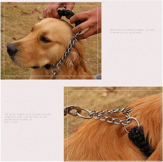 Animal Dog Leash/Lead Strap in Black color