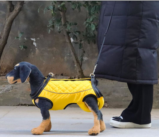 Animal Λουρί/Οδηγός Σκύλου Ιμάντας σε Μαύρο χρώμα