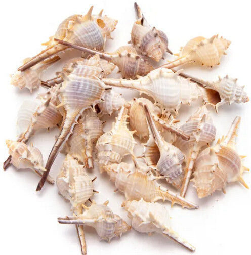 Nobleza Aquarium Ornament