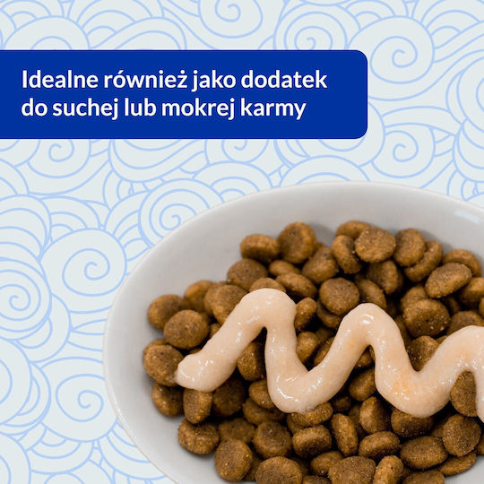 Cat Treats Inaba Ciao Churu Skin Coat Chicken 4 x 14g