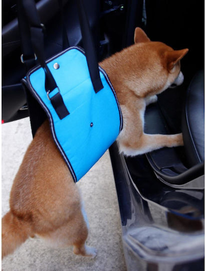 Animal Waterproof Dog and Cat Carrying Bag M65xP17cm