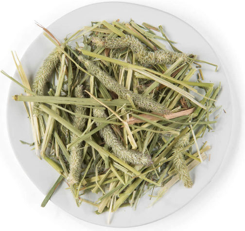 Witte Molen Χόρτα για Τρωκτικά 500gr