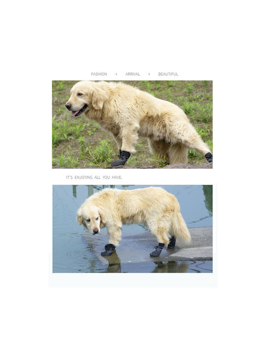Animal Shoes Dog in Gray Color