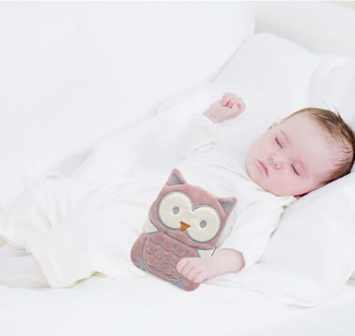 Baby Jem Owl Heating Pad with Cherry Pits Rose