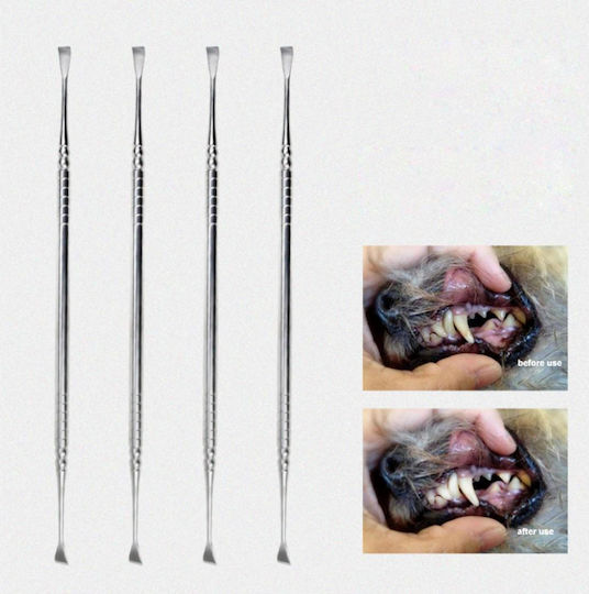 Animal Dog Dental