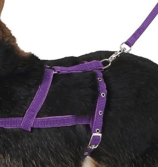 Kerbl Wheel for Rabbit Shoulder Harness Agility with Strap M Lilac
