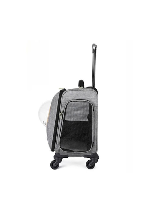 Animal Cat Carrier Bag 40cm